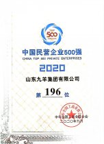 中国民营企业500强第196位 20年度