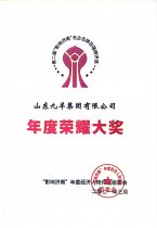 年度荣耀大奖